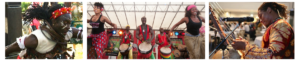 Afrikaans optreden, Optreden Afrikaanse dans, Djembé optreden, Solo optreden Afrika, N'goni speler, Afrikaanse artiesten, Senegal, Togo, West Afrika, Afrika Centrale